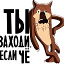 ���� �������, �������, 46 ��� - ��������� 10 ������ 2020 � ������ ���� ����������