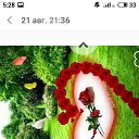 ���� �����, ���� - ��������� 28 �������� 2020 � ������ ���� ����������
