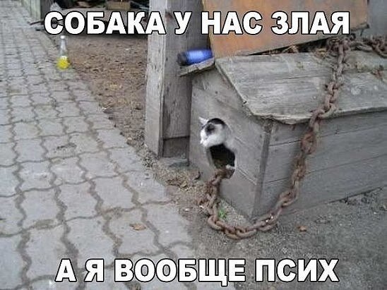    - 25  2020  03:42