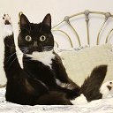 ���� �������, ������, 35 ��� - ��������� 15 ������ 2020 � ������ ���� ����������