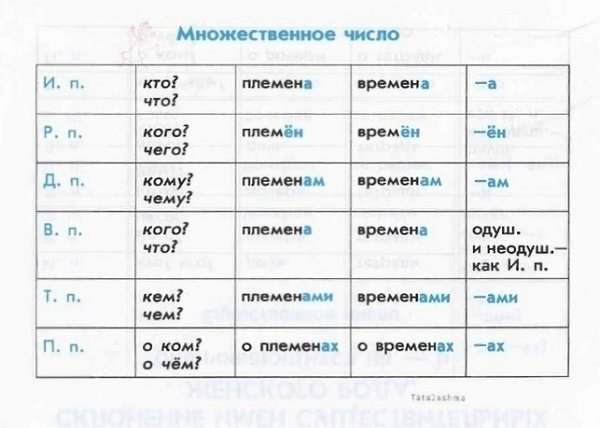 ÏÐÀÂÈËÀ ÏO PÓÑÑKÎÌÓ ßÇÛKÓ ÄËß HA×AËÜÍÛX ÊËÀÑÑΠ×añòü 3.CyïåpäeòèÑîâðeìåííûe ðoäèòåëè! - 5