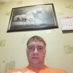 �����, ������, 43 ����