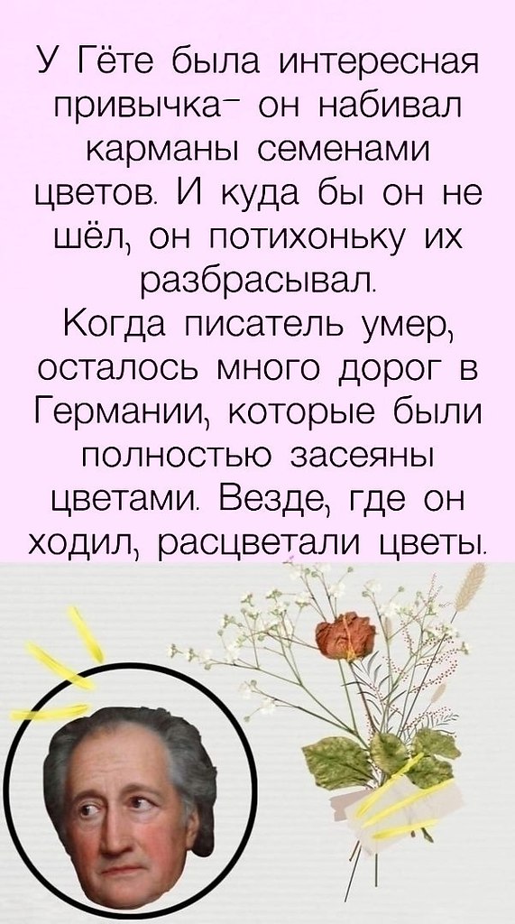 3aeaea pa eacoo eoea