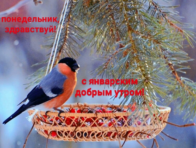   ,    . - 10  2021  23:39 - 5