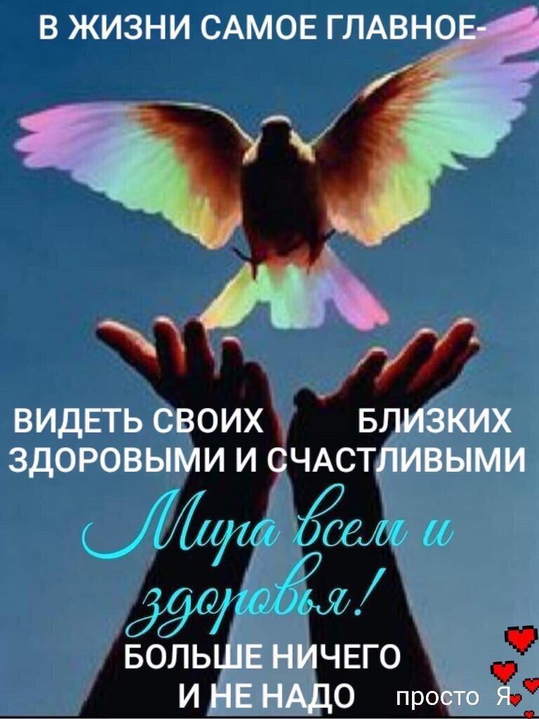   ,    . - 5  2020  20:03