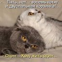  , - -  22  2020    