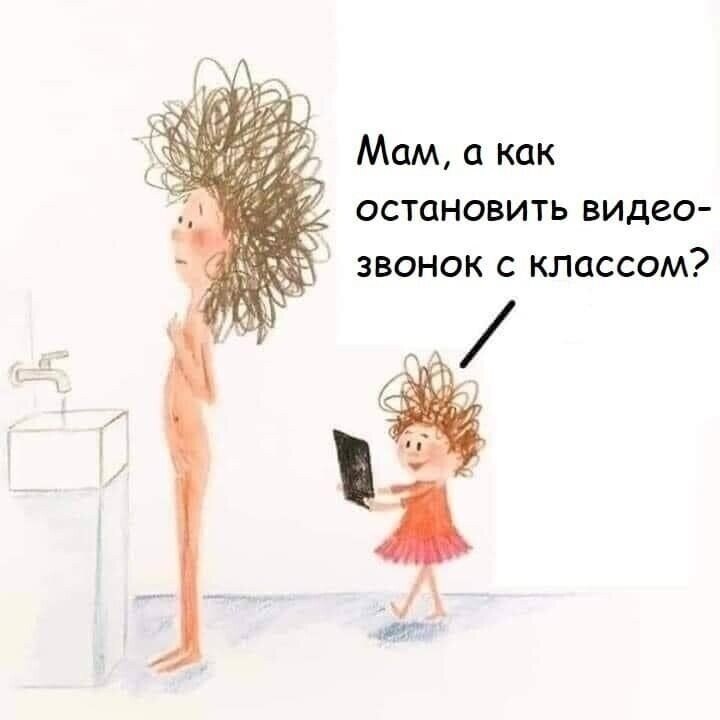 Ha co y