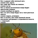  Cccc Vvvvv, , 46  -  15  2020    
