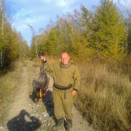 ���������, �����������, 45 ���