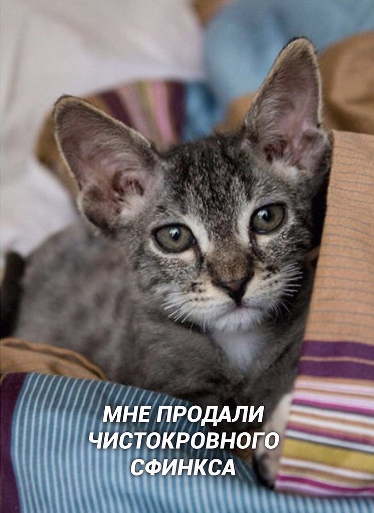   - 2