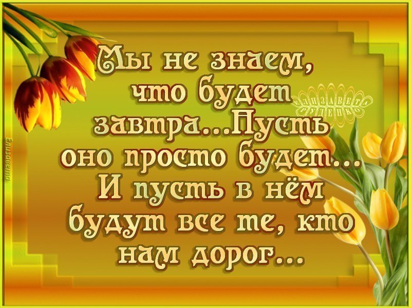 Мы вам в этом всегда. Мы не знаем то будет завтра. Открытки со словами до завтра. Мы не знаем что будет завтра. Открытка мы не знаем что будет завтра.