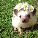 ���� Evi, ������ - ��������� 5 �������� 2020 � ������ ���� ����������