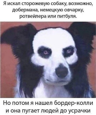  )