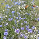  ,  -  23  2020    