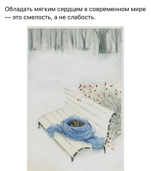 ������� - 2 ������ 2021 � 17:08 - 3