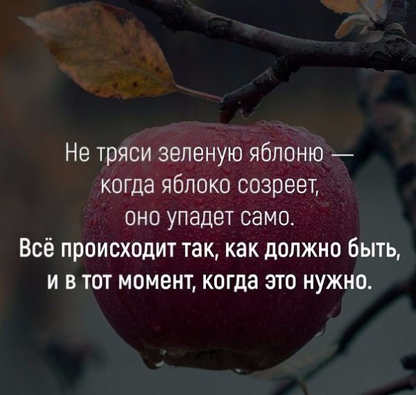    - 5  2020  00:52
