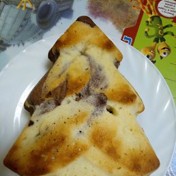 �����, ���, 41 ���