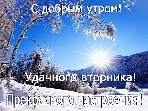   ,    . - 15  2020  01:39