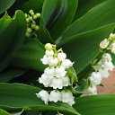 ���� ������, ������������ - ��������� 24 �������� 2020 � ������ ��������