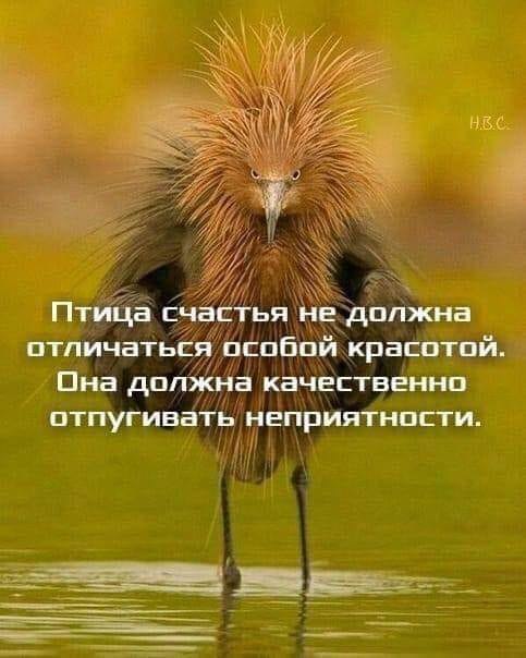   ! - 1  2020  13:23