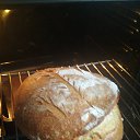 ���� ���������, ������, 52 ���� - ��������� 8 ������ 2021 � ������ ������)�