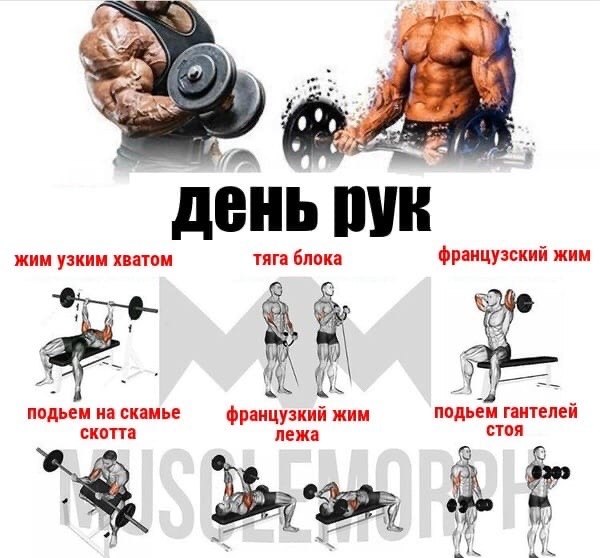   ,      ,    ... - 4