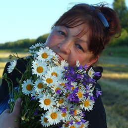 �������� ��������, ������, 56 ���