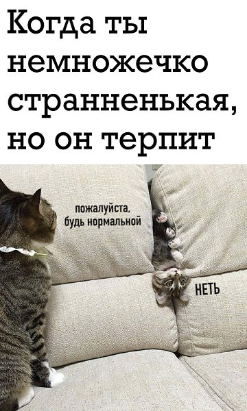 ***Victoria Viktorovna*** - 30 ������ 2020 � 16:27