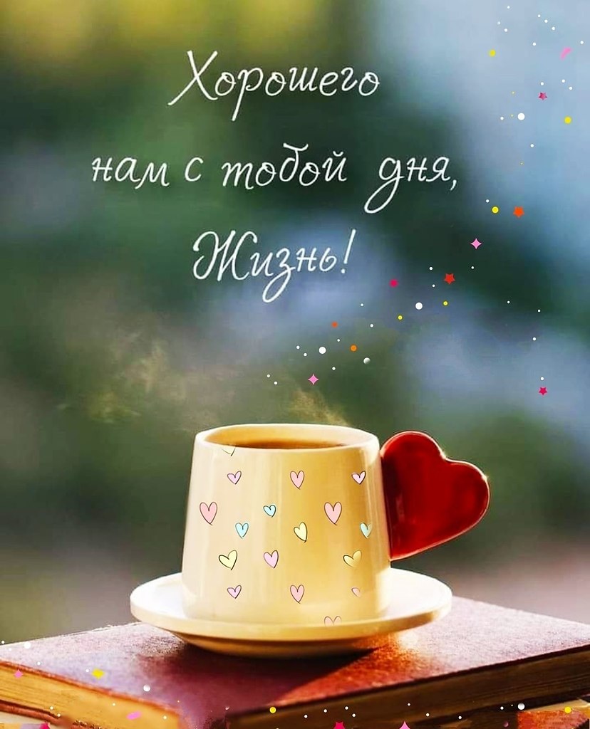   ,    . - 11  2021  22:55 - 5