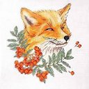  K, , 50  -  27  2021    