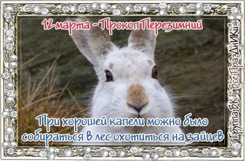   ,    . - 11  2021  23:58