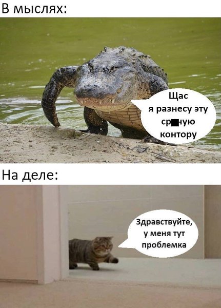   !)