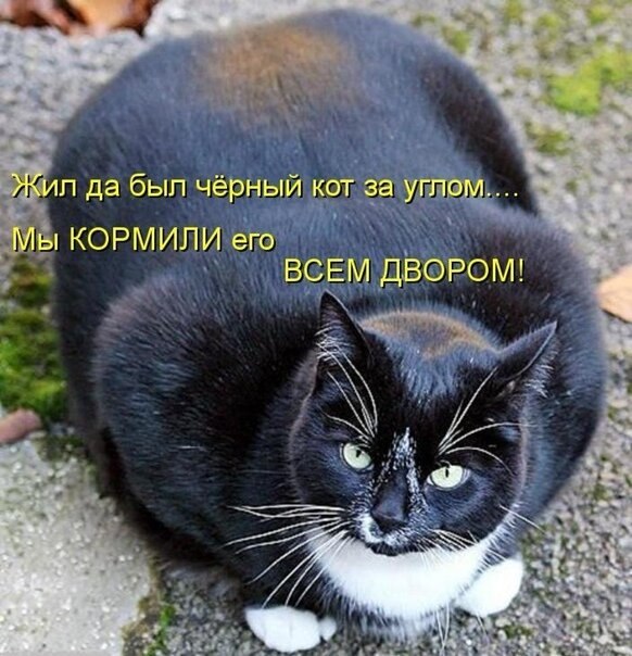    - 6  2021  07:53