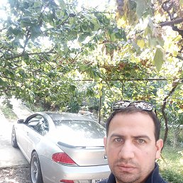 ���� Zura, �������, 40 ��� - ��������� 14 ������� 2020