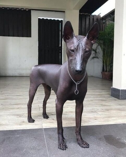 coo oa  ca pe opo coa a ee. opoa oa o peea ep ... - 4