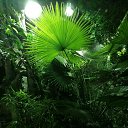 ���� �����, ����, 43 ���� - ��������� 25 ������� 2020 � ������ ���� ����������