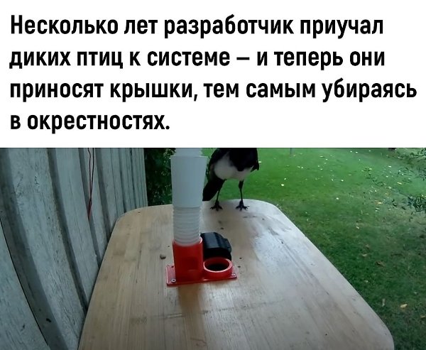   - 3