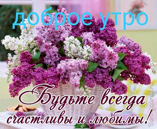 ***Victoria Viktorovna*** - 17  2021  07:13