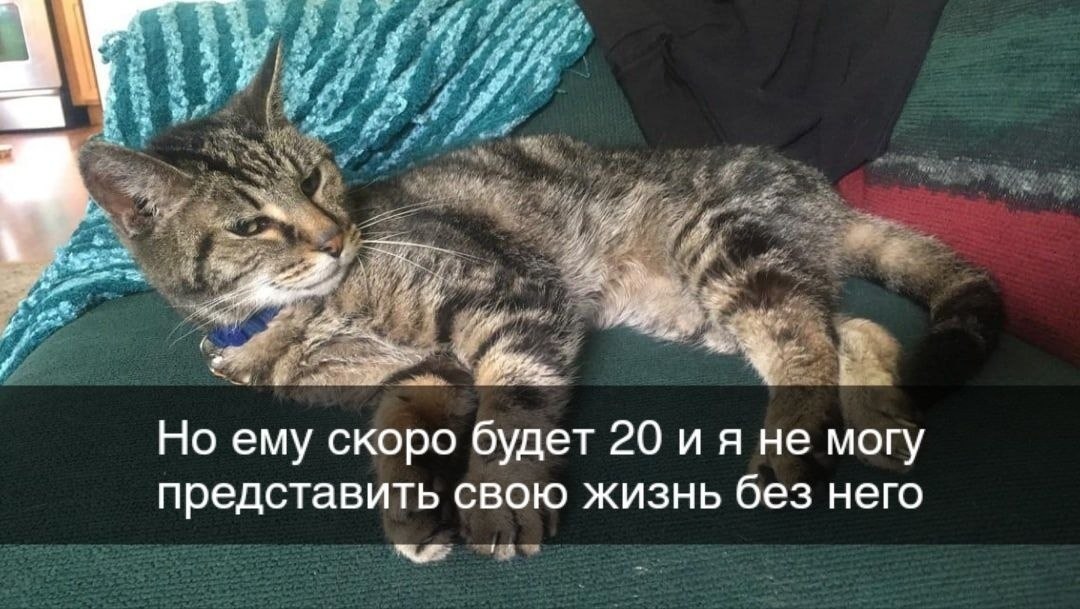 ������� � ������ ������� ��� � ����� - 2