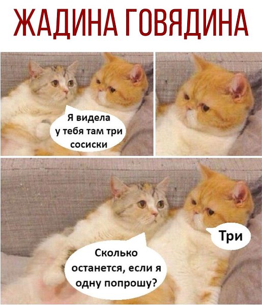  - 7  2020  18:41