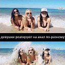  ,  -  4  2020    )))