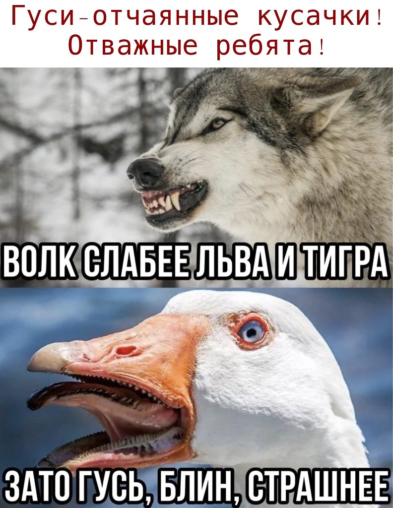  - 15  2020  19:46