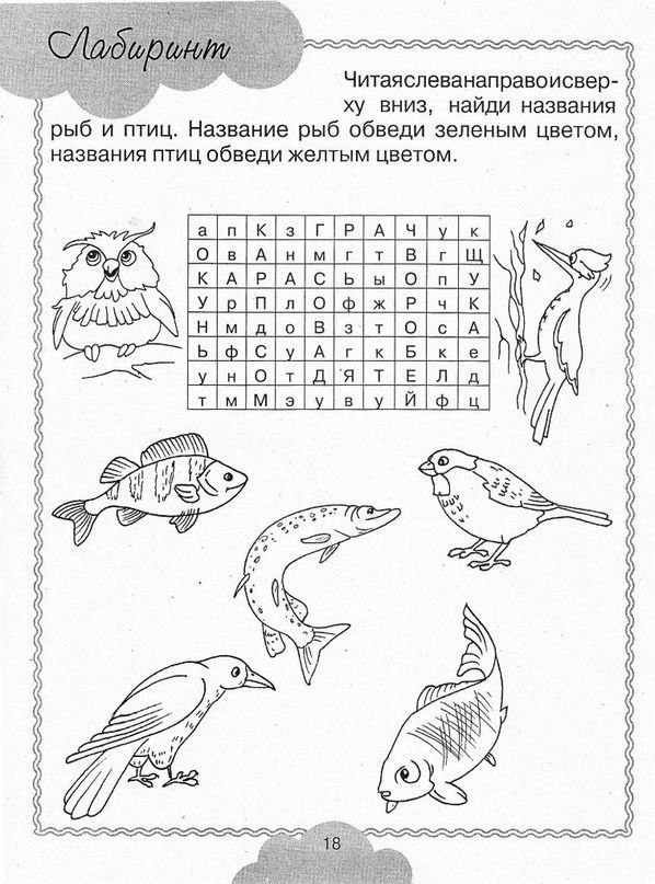 BBA A C M. Cyepe po! - 5