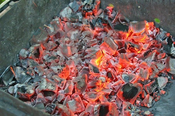Утка в коньяке.Итак, у нас:УткаКоньякЧерный перецСольГрудки, мы надсекаем ножом (чтобы только ... - 6