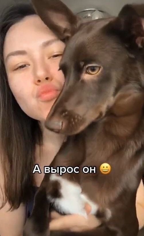 ,      - 4