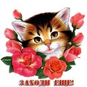  , , 42  -  12  2020   Ȼ