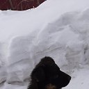  ,  -  9  2021    