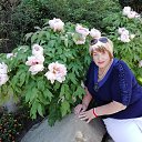 ���� ����, ������, 65 ��� - ��������� 8 ����� 2021 � ������ ���� ����������