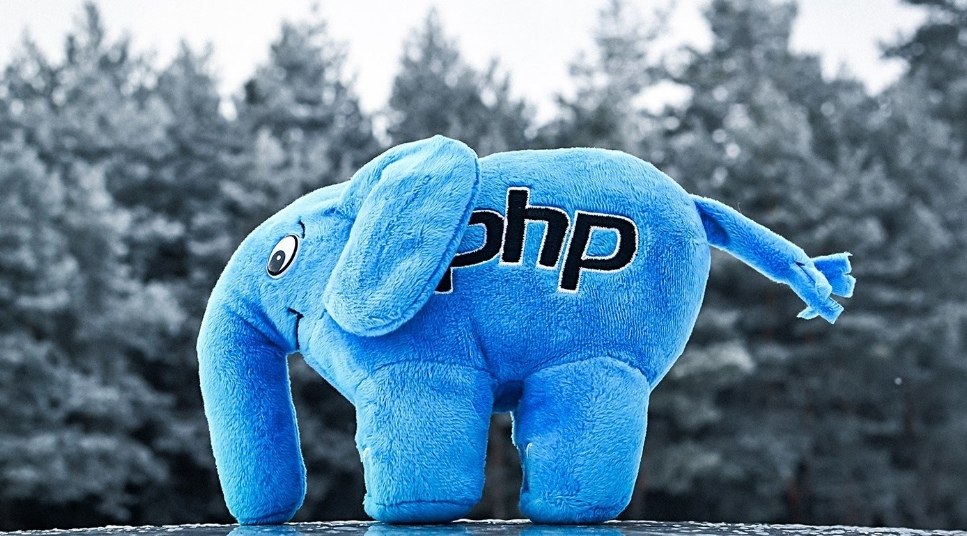 PHP- 196 (1  11 ).      PHP 8.0.1, MySQL-  PHP  Vimeo  ...