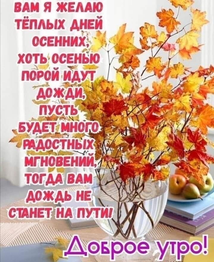   ,    . - 10  2020  23:14 - 6
